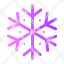 christmas-day-snowflake-ice-snow-snowflakes-winter-frost-cold-weather-haw-icon