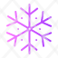 christmas-day-snowflake-ice-snow-snowflakes-winter-frost-cold-weather-haw-icon