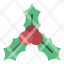 christmas-mistletoe-nature-ornament-decoration-icon