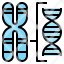 chromosome-structure-gene-dna-karyotype-genetics-icon