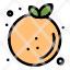 citrus-diet-food-fruit-orange-icon