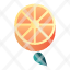 citrus-diet-fresh-fruit-healthy-orange-icon
