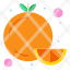 citrus-food-orange-icon