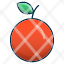 citrusfresh-juicy-orange-tropical-icon