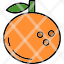 clementine-fruit-healthy-fresh-food-icon