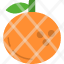 clementine-fruit-healthy-fresh-food-icon