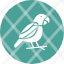 cockatiel-cockatoo-macaw-parrot-icon-icons-icon