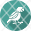 cockatiel-cockatoo-macaw-parrot-icon-icons-icon