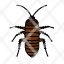 cockroach-insect-pest-nymph-bombaycanary-animal-entomology-icon