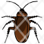 cockroach-insect-pest-waterbug-bombaycanary-animal-entomology-icon