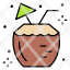 coconut-drink-cocktail-leisure-party-icon
