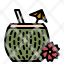 coconut-drinking-alcohol-cocktail-drinks-icon