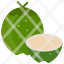 coconut-fruit-food-summer-fruits-icon