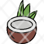coconut-nut-fruit-food-drink-icon