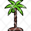 coconut-tree-beach-palm-summer-island-icon