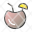 coconutdrink-refreshing-travel-water-icon
