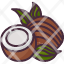 coconutfruit-food-organic-vegan-healthy-vegetarian-restaurant-icon