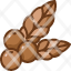 coffee-beanscoffee-bean-caffeine-branch-tree-icon