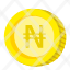 coin-money-currency-gold-naira-icon