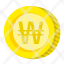coin-money-currency-gold-won-icon
