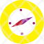 compass-icon