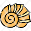 conch-shell-icon