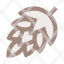 cone-forest-hop-pine-tree-icon