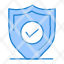 confirm-protection-security-secure-icon