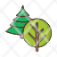 coniferous-deciduous-forest-nature-plant-icon
