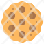 cookie-cookies-chip-biscuit-bakery-icon