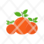 cooking-food-fruit-kitchen-orange-restaurant-i-icon