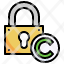 copyright-filloutline-lock-padlock-secure-security-icon