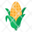 corn-food-vegetable-organic-icon