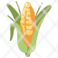 corn-grain-plant-harvest-food-agriculture-icon
