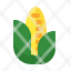 corn-maize-agriculture-cob-harvest-icon