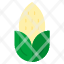 corn-maize-vegetable-fleshy-green-icon