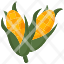 cornorganic-vegan-icon