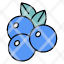cranberry-fruit-food-sweet-apple-healthy-fresh-organic-icon