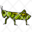 cricket-entomology-insects-animal-pest-grasshopper-icon