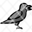 crow-bird-animal-poultry-halloween-icon