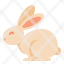cruelty-free-rabbit-animal-testing-friendly-cosmetics-vegan-beauty-icon