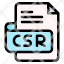 csr-file-type-format-extension-document-icon