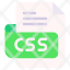 css-file-type-format-extension-document-icon