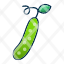 cucumberfood-vegetable-icon