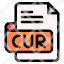cur-file-type-format-extension-document-icon