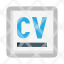 curriculum-file-profile-resume-summary-vitae-icon
