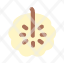 custard-apple-slice-icon