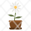 daisy-flower-botanical-blossom-jar-icon