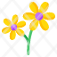 daisy-flower-floweret-blossom-botany-nature-icon