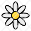 daisy-flower-plant-blossom-garden-floral-nature-icon